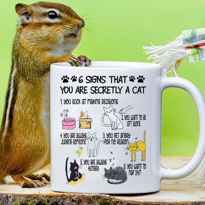 Six Signs That You Are Secretly A Cat Mug, Cute Cat Cup, Funny Cat Gift, Gift For Cat Lovers